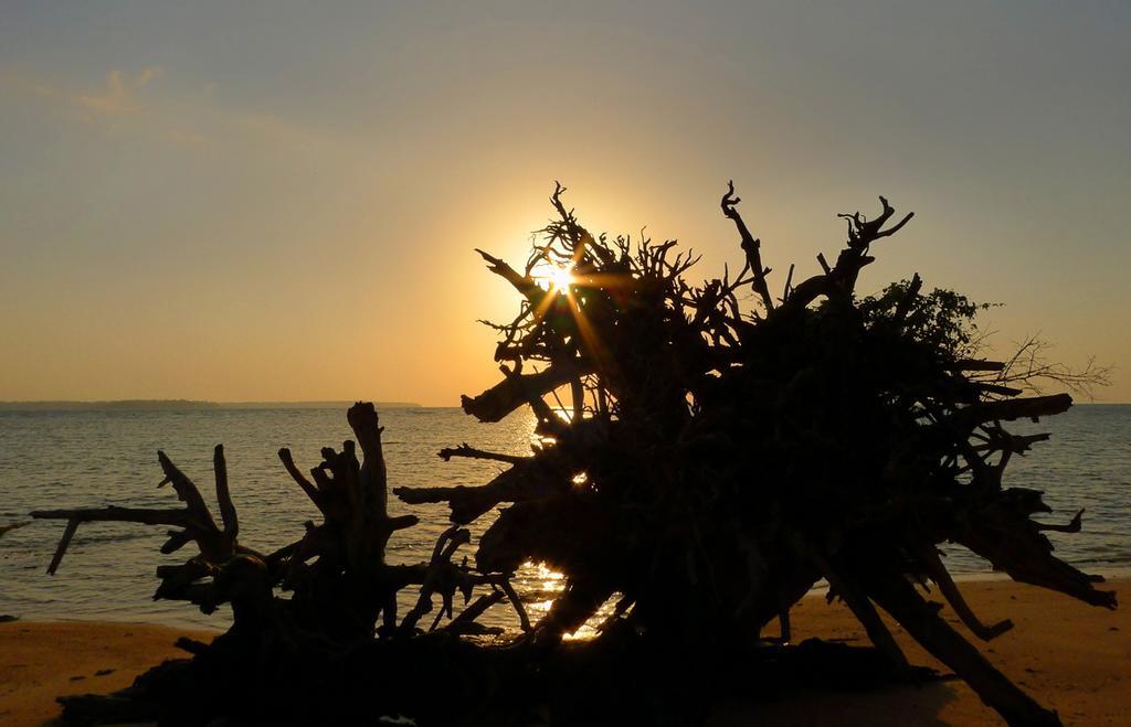 Anugama Resort Wandoor エクステリア 写真